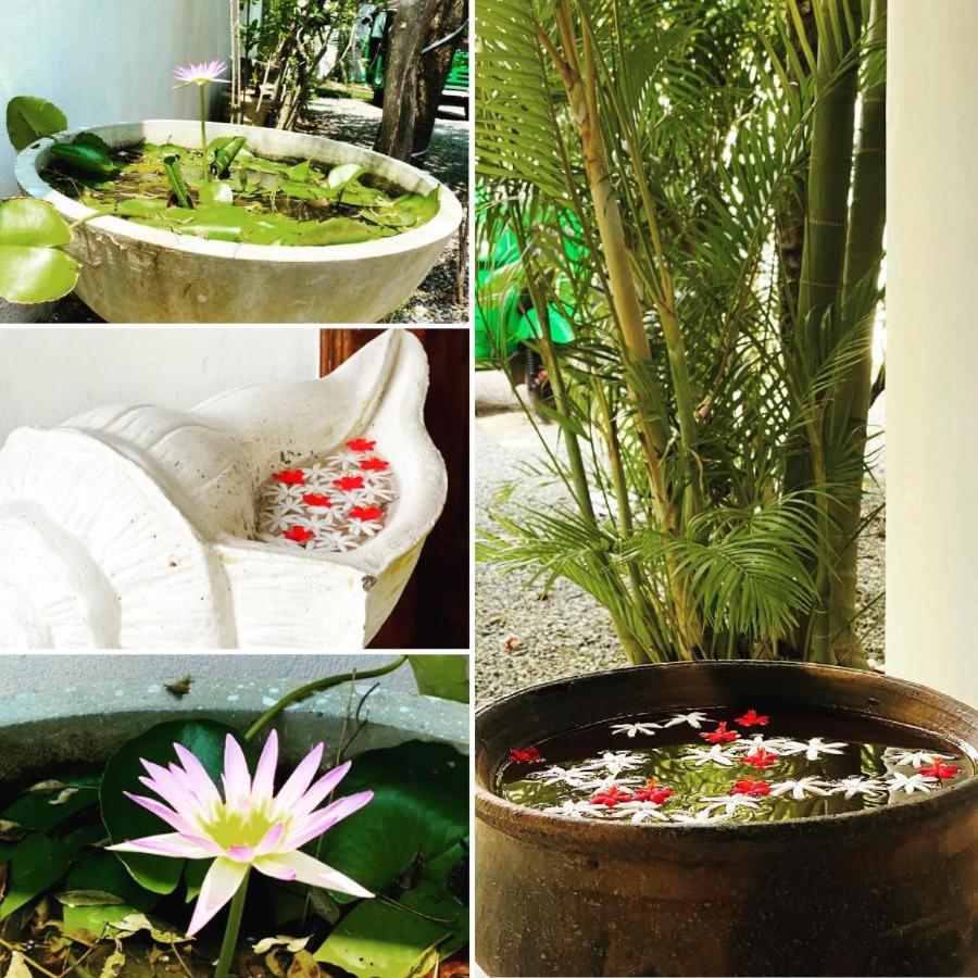 Rituale Guest House - Surf & Yoga Мирисса Экстерьер фото